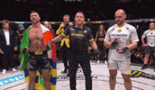 Victory Win GIF