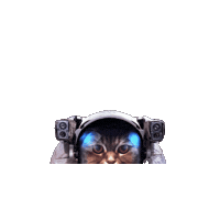 Space Cat Sticker by BeeCat Creative