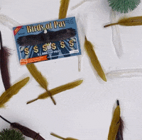 Scratchtickets GIF by Idaho Lottery