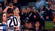 Aussie Rules Celebrations GIF by AFL