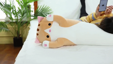cute-gifts giphygifmaker cat pillow GIF