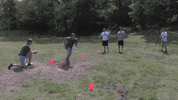 big cat kfc GIF by Barstool Sports