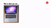 Cats Laptop GIF by BuzzFeed