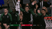 happy lets go GIF by NBA