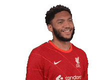 Serious Joe Gomez Sticker by Liverpool FC
