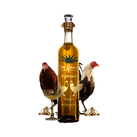 CasaDonRamon gold surreal tequila diamante Sticker