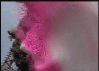 justice bao dance GIF