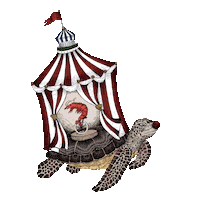 Aquatic Creatures Art Sticker by Aquatic Creatures by Riccardo Capuzzo