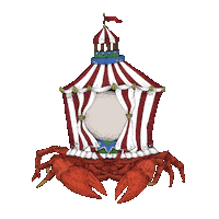 Aquatic Creatures Art Sticker by Aquatic Creatures by Riccardo Capuzzo