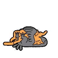 Cat Crow Sticker