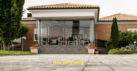 dovamzallag giphygifmaker giphyattribution GIF