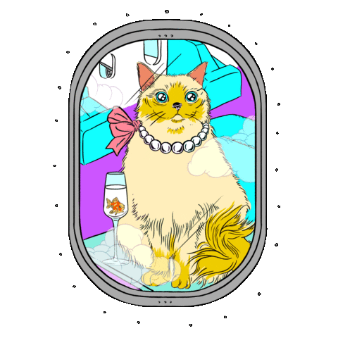 Private Jet Cat Sticker by EYEYAH!