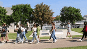 campus_lsh_nancy campus nancy universite clsh GIF