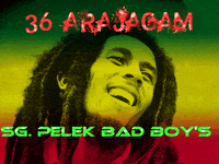 bob marley GIF