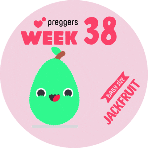 Baby Pregnancy Sticker by Preggers