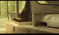 Pawan Kalyan Pk GIF by Sharat overseas distribution
