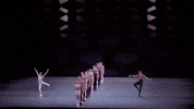 sufjan stevens dance GIF by New York City Ballet