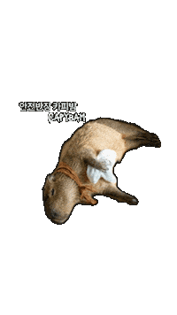 Korea Help Sticker
