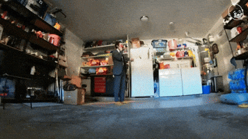 Alan Resnick's Enterings