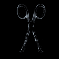 scissorsisters kiki baby daddy lets have a kiki scissorsisters GIF