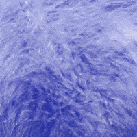 Halloween Kids GIF by Apply