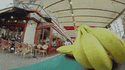 Monkey Fruit GIF