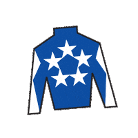 Sport Silk Sticker by Kentucky Derby