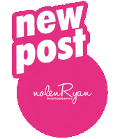 nolenryan new post las vegas new post pink nolan ryan Sticker