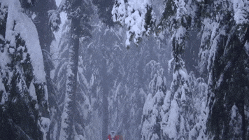 Santa Claus Snow GIF by IFHT Films