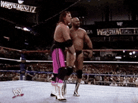 bret hart wrestling GIF by WWE