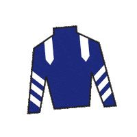 Horse Racing Sticker by Kentucky Derby