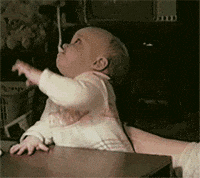 joe jimmy GIF