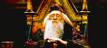 albus dumbledore applause GIF