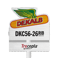Dk Sticker by DEKALB Asgrow Deltapine