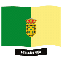 Comunidad De Madrid Flag Sticker by Formación Ninja