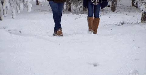 episode 11 abc GIF by The Bachelor
