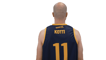 Basketball Hoops Sticker by Basket_fi