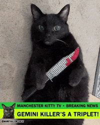 mannycat dexter black cat gemini killer dexter resurrection GIF