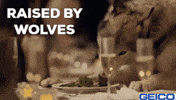 Dog GIF by GEICO