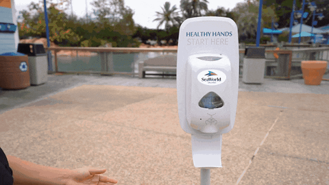 SeaWorld giphyupload wash your hands wash hands hand sanitizer GIF