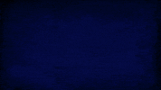 Field Hockey Dragons GIF