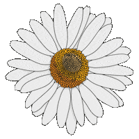 Lebedame flower power creativestudio lebedame creativstudio Sticker