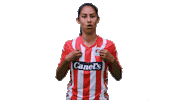 San Luis Soccer Sticker by Atlético de San Luis
