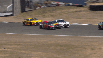 Martin Truex Jr Racing GIF by NASCAR