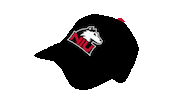 Niu Huskies Sticker by Northern Illinois University