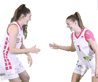 FoA_Naiset basketball handshake hoops ritual Sticker