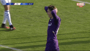 Fiorentina GIF by ElevenSportsBE