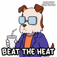 Dog Summer GIF by VeeFriends