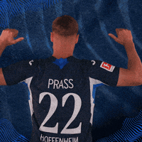 Sport Bundesliga GIF by TSG Hoffenheim
