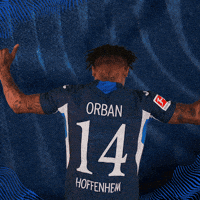 Sport Bundesliga GIF by TSG Hoffenheim